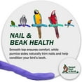 thumbnail image 7 of Large 12" Bird Cage Perch for Nail Trimming - Safe  Grooming Accessory, 7 of 7