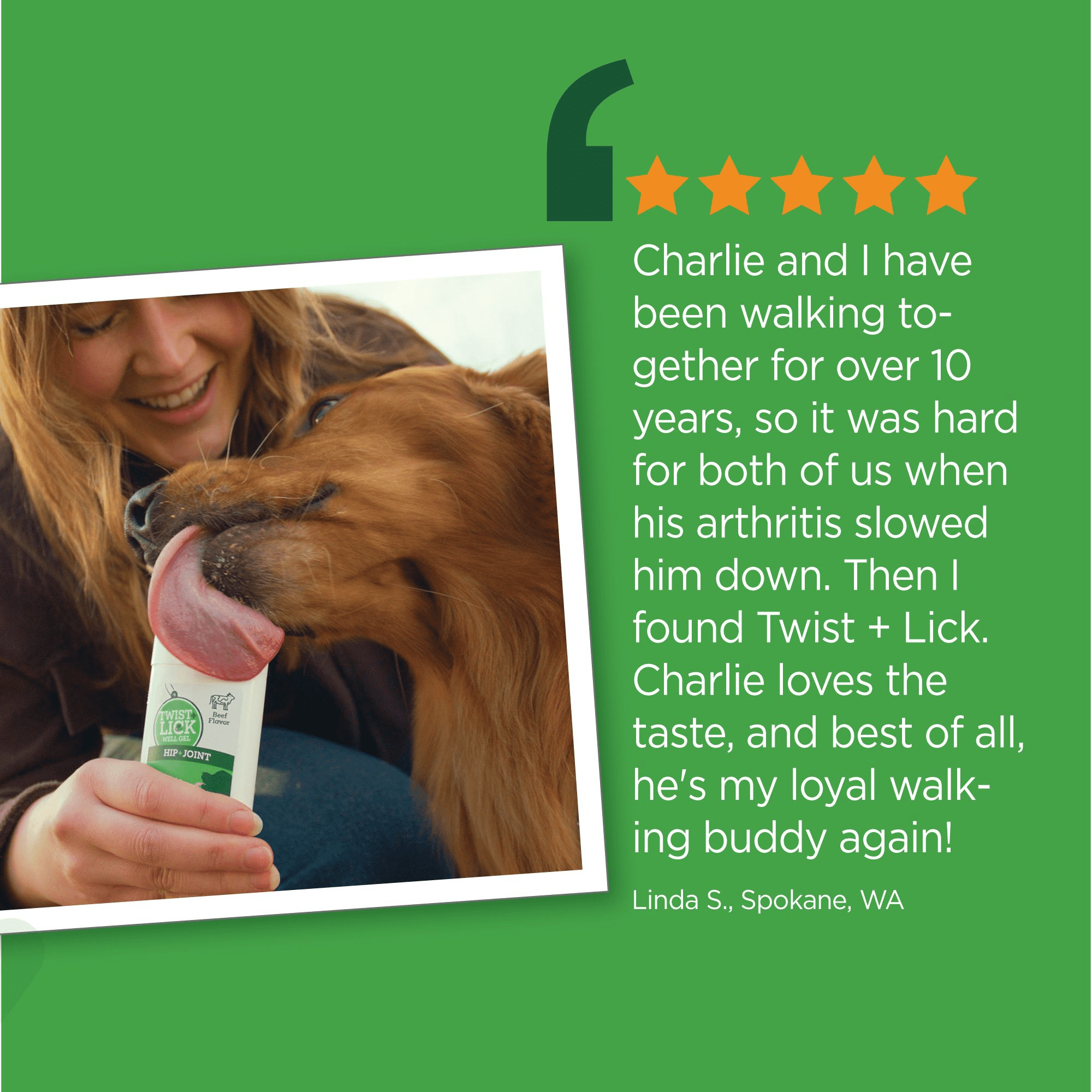 Vetality Twist + Lick Hip and Joint Supplement for Dogs – Beef Flavor, Fast-Acting Well Gel, 2.3 oz, up to 60 Day Supply