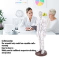 thumbnail image 3 of Acupuncture Model Human Body Model Full Body Acupuncture Practice Tool With Base Acupuncture Model Human Body Acupuncture Model Acupuncture Model With Base Full Body Acupuncture, 3 of 7