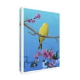 thumbnail image 4 of Trademark Fine Art Franco Caballero Goldfinch Canvas Wall Art, 4 of 4