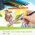 thumbnail image 2 of Lápices de colores S & E TEACHER'S EDITION 144 unidades preafilados, 2 of 5
