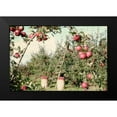 thumbnail image 2 of Allen, Kimberly 14x11 Black Modern Framed Museum Art Print Titled - Apple Orchard, 2 of 5