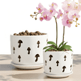 thumbnail image 2 of EFISPSS 2 Pack 5+6 inch white orchid pots with holes and removable trays, assist new plants or repotting, 2 of 8