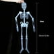 thumbnail image 3 of Juguete de Halloween Fiudx Cráneo luminoso esqueleto cuerpo aterrador, 3 of 7