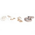 thumbnail image 2 of Fyydes Growth Cycle,Growth Life Cycle Toy Plastic Animal Growth Cycle Model Educational Snake Model,Plastic Animal Life Cycles, 2 of 8