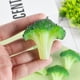 thumbnail image 3 of 5 Pcs Simulated Food Broccoli Slice Fake Artificial Vegetable Broccoli Decoration Model Educational Props, 3 of 3