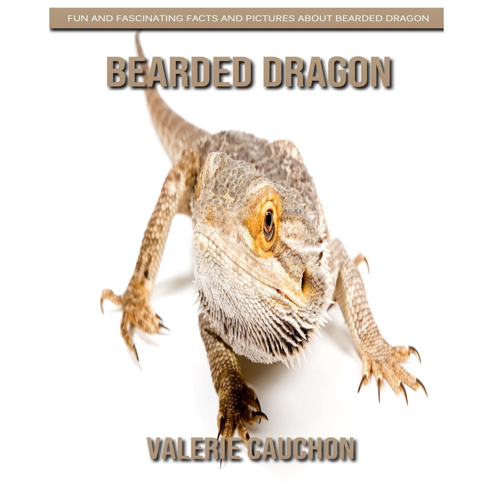 Bearded Dragon Fun and Fascinating Facts and Pictures About Bearded Dragon (Paperback