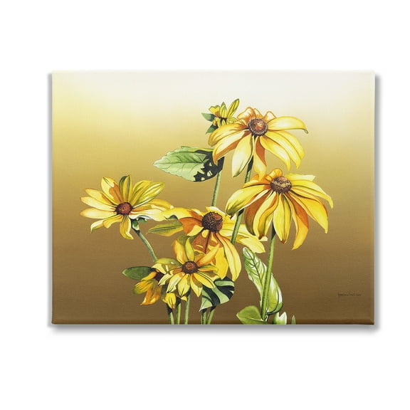 Stupell Industries Drooping Daisy Petals Botanical & Floral Painting Gallery Wrapped Canvas Art Print Wall Art, 20 x 16
