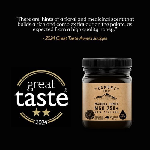 Egmont Honey 250 MGO Manuka Honey 250g, British Import (Pack of 2)