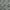 Gray, variant on oneOone Cotton Cambric Tawny Brown Fabric Tropical Dress Material Fabric Print Fabric By The Yard 42 Inch Wide
