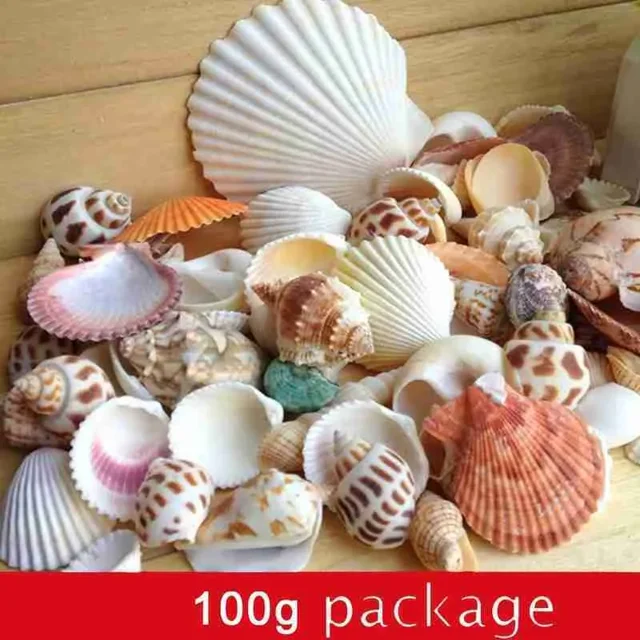 Conchas marinas naturales para decoración de acuarios, jardines y manualidades - Bolsa de 100g con variedad de diseños y colores