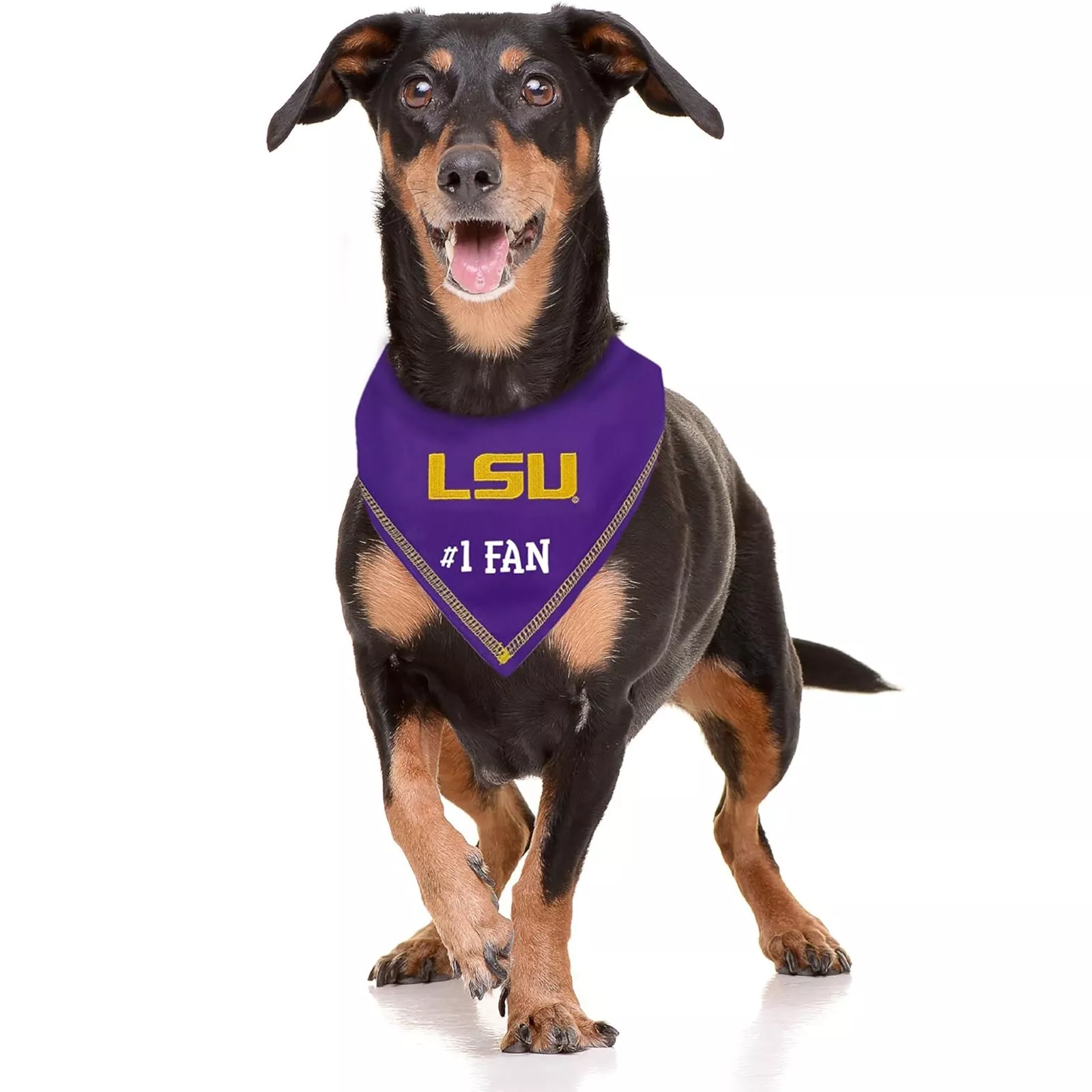Pets First NCAA Personalized Tie Bandana for Dogs & Cats Sporty Dog Bandana