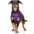 thumbnail image 3 of Pets First NCAA Personalized Tie Bandana for Dogs & Cats Sporty Dog Bandana, 3 of 5