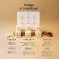 thumbnail image 3 of Kit 6 Velas De Soya | Pétalos De Rosa, Vainilla, Canela, Palomita Caramelizada, Café y Pumpkin Spice | Duración 32 Hrs | B Life., 3 of 5