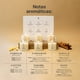 thumbnail image 3 of Kit 6 Velas De Soya | Pétalos De Rosa, Vainilla, Canela, Palomita Caramelizada, Café y Pumpkin Spice | Duración 32 Hrs | B Life., 3 of 5