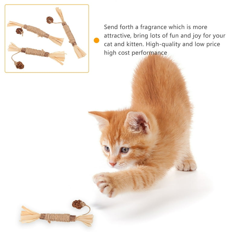 Chew toy for teething cheap kitten