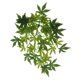 thumbnail image 4 of Enredaderas de Terrario perfecl Flexibles Tipo 2 40 cm, 4 of 8