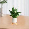 thumbnail image 4 of JKLOP Planter Stand for Small Plants Indoor Wood Plant Stand for Bedroom Suitable for Pot for Home & Kitchen, 4 of 6