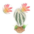 thumbnail image 4 of Reptile Cactus Plant, Simulation Fade Resistant Aquarium Plant Ornament  For Seawater For Terrarium, 4 of 8