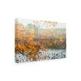 thumbnail image 4 of Canvas Wall Art - Brooke T. Ryan 'Autumn Pond' Wall Art for Living Room, Bedroom, or Office Décor by Trademark Fine Art - 32 x 22 Inches, 4 of 4