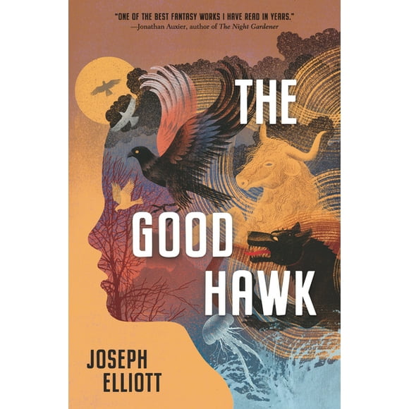 Shadow Skye Trilogy: The Good Hawk (Series #1) (Paperback)