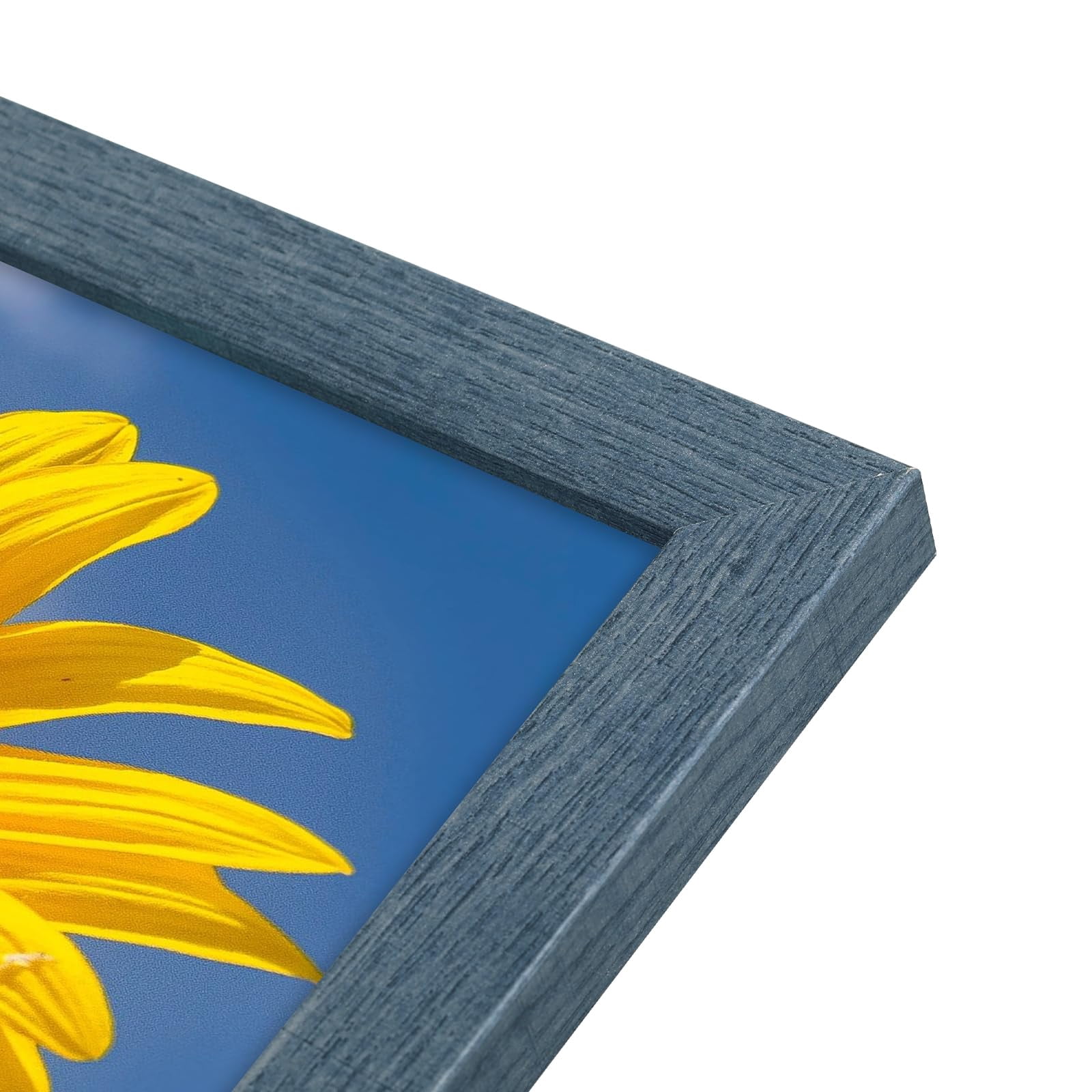 Golden State Art A2 16.5x23.4 Inch Wall Picture Frames with Plexiglass, Blue, Set of 2