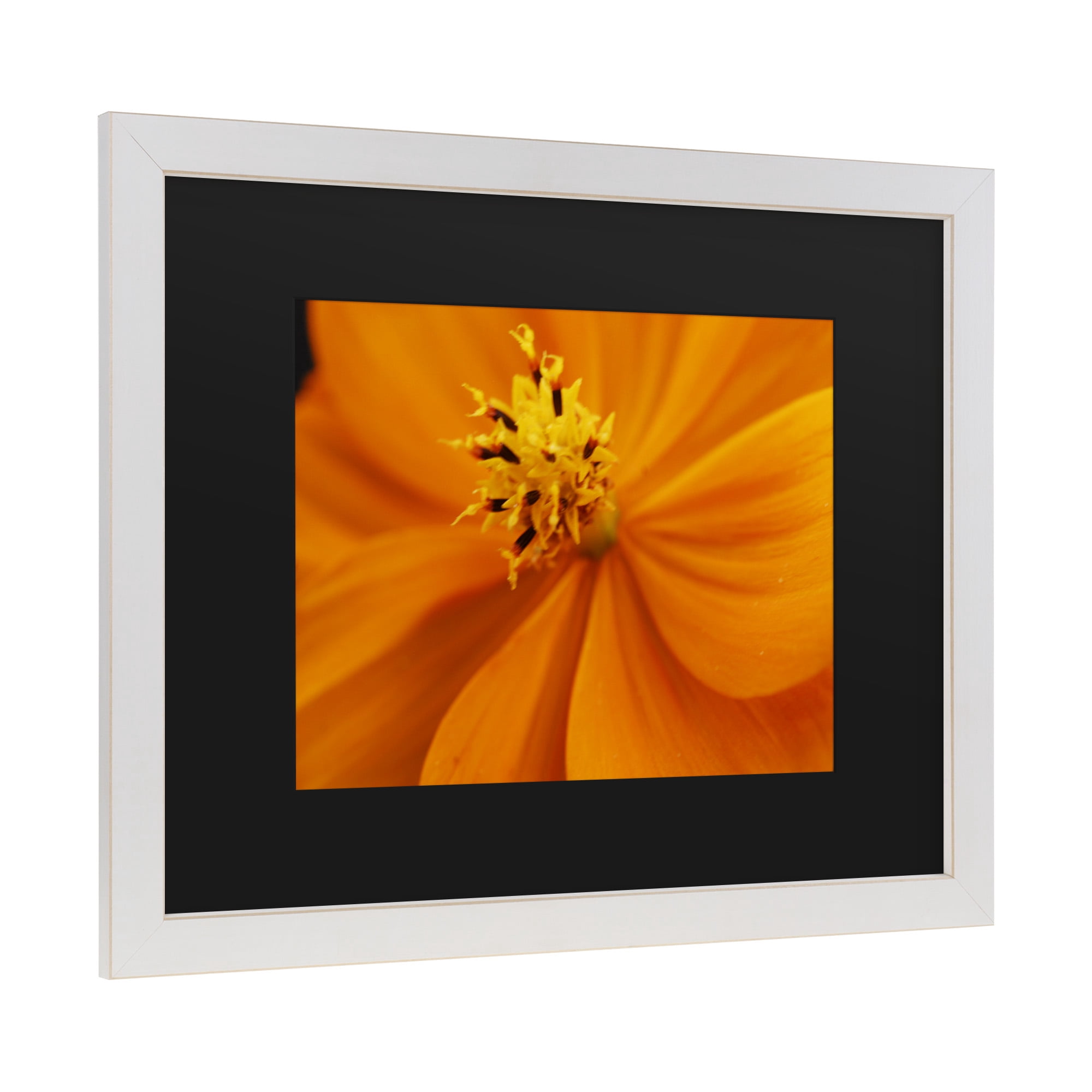 Trademark Fine Art 'Orange Flower' Canvas Art by Kurt Shaffer