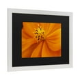 thumbnail image 2 of Trademark Fine Art 'Orange Flower' Canvas Art by Kurt Shaffer, 2 of 4