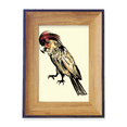 thumbnail image 1 of Yellow Feather Parrot Bird Photo Frame Exhibition Display Art Desktop Painting, 1 of 3