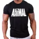 thumbnail image 1 of Playeras Camiseta Animal Pak Logo Todas Tallas Unsx + Regalo, 1 of 6