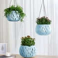 thumbnail image 4 of PEIBang Flower Pot Hanging Baskets with Drainage Holes and Chain,Garden Hanging Planter for Indoor Outdoor Plants, 4 of 6