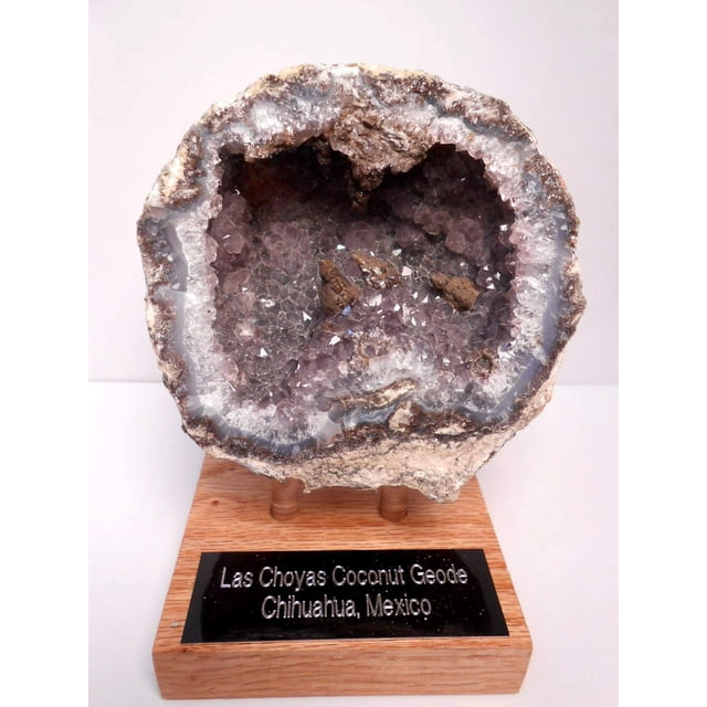 Genuine Huge Softball Sized Crystal Filled Los Choyas Geode Half on Free Custom Oak Stand