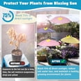 thumbnail image 3 of 3-Piece  Umbrella Set for Outdoor Plants, Garden Umbrella Shade for Potted Plants and Garden Beds, Protects Plants from Blazing Sun - 1 Yellow, 1 Pink, 1 Blue, 3 of 7