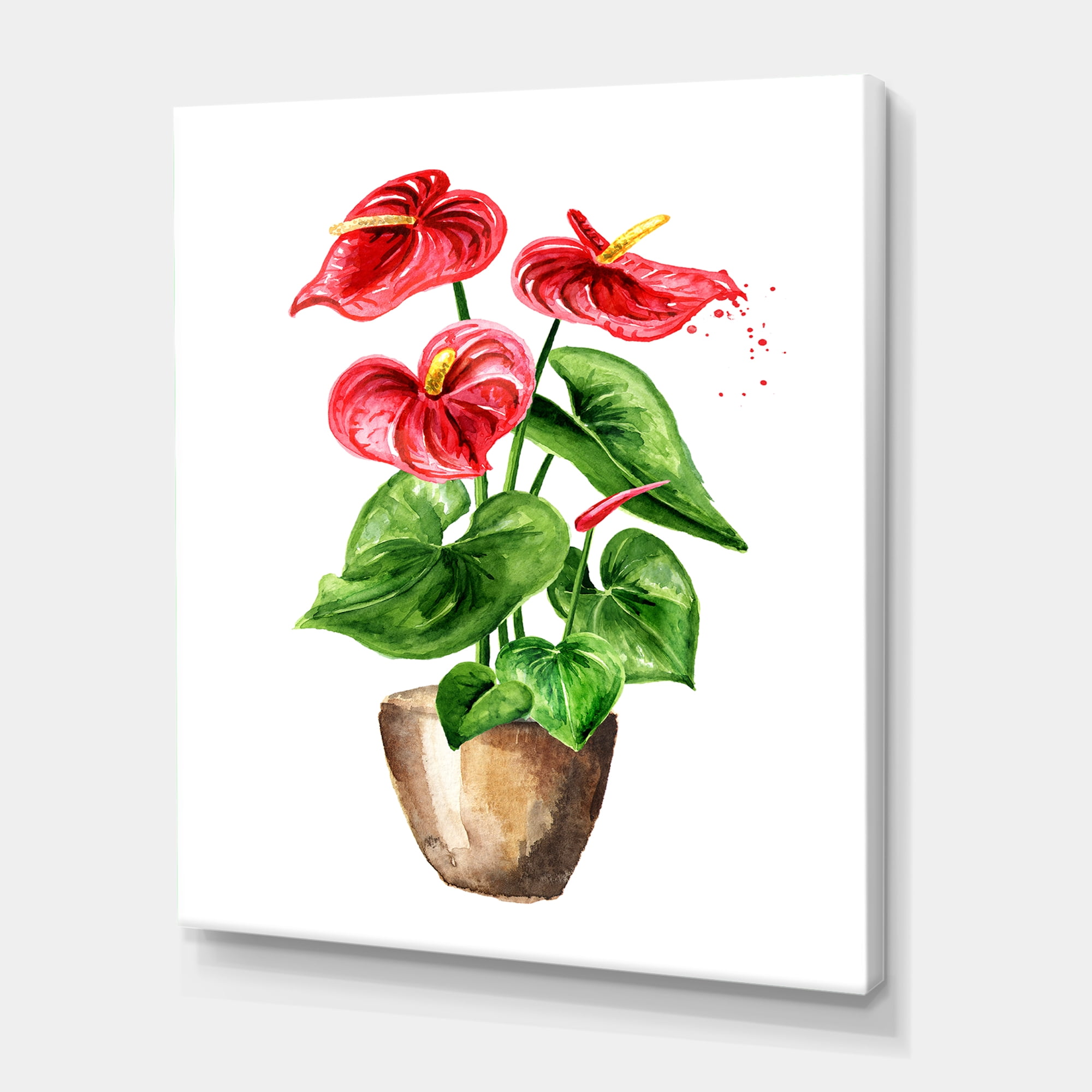 Anthurium Tailflower In The Pot 12 in x 8 in Painting Canvas Art Print, by Designart