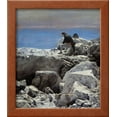 thumbnail image 2 of Its Over, Napoleon I in St Helena by Oscar Rex, Framed Art Print Wall Art Sold by Art.Com, 2 of 5