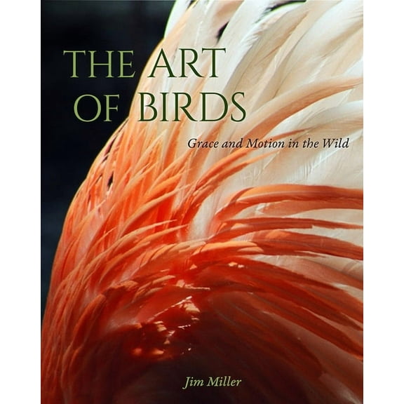 The Art of Birds: Grace and Motion in the Wild, (Hardcover)