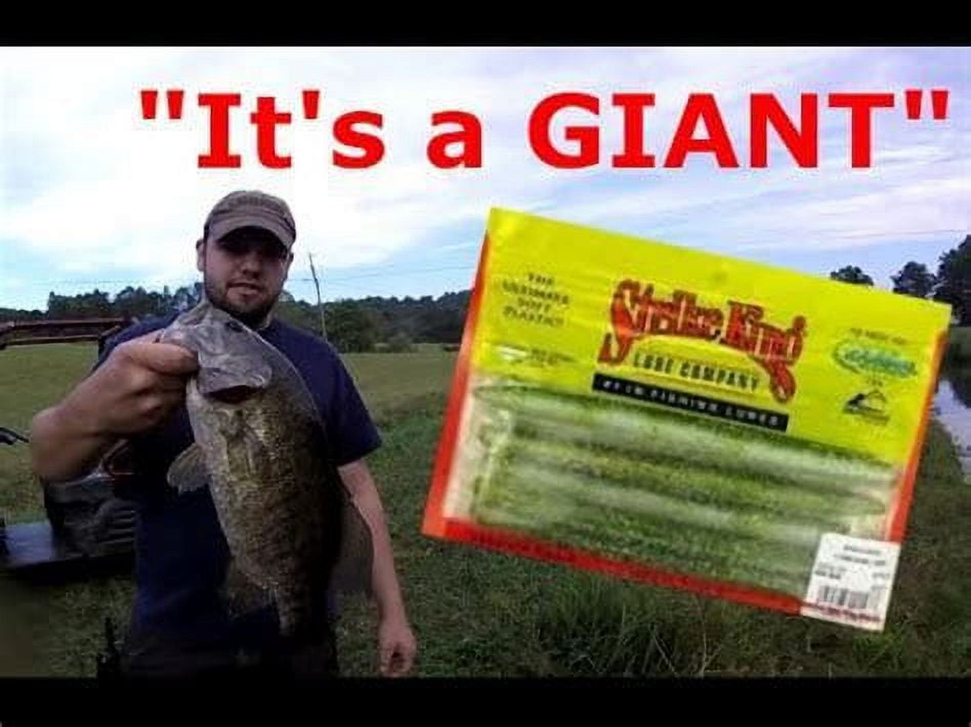 (2 pack) Strike King Shim-E-Stick Green Pumpkin Soft Stick Bait Lure