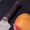 thumbnail image 5 of ZWILLING 1731 8-inch Chef's knife, 5 of 6