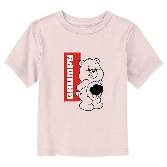 Toddler's Care Bears Grumpy Bear Name Tag Graphic Tee Light Pink 3T