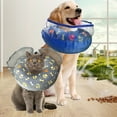 thumbnail image 1 of CBFFDC Collier de Protection pour Animaux Collier de Récupération pour Animaux Design Ultra Léger à Bande Élastique Lavable en Machine Libération Rapide Anti-Licking, 1 of 7