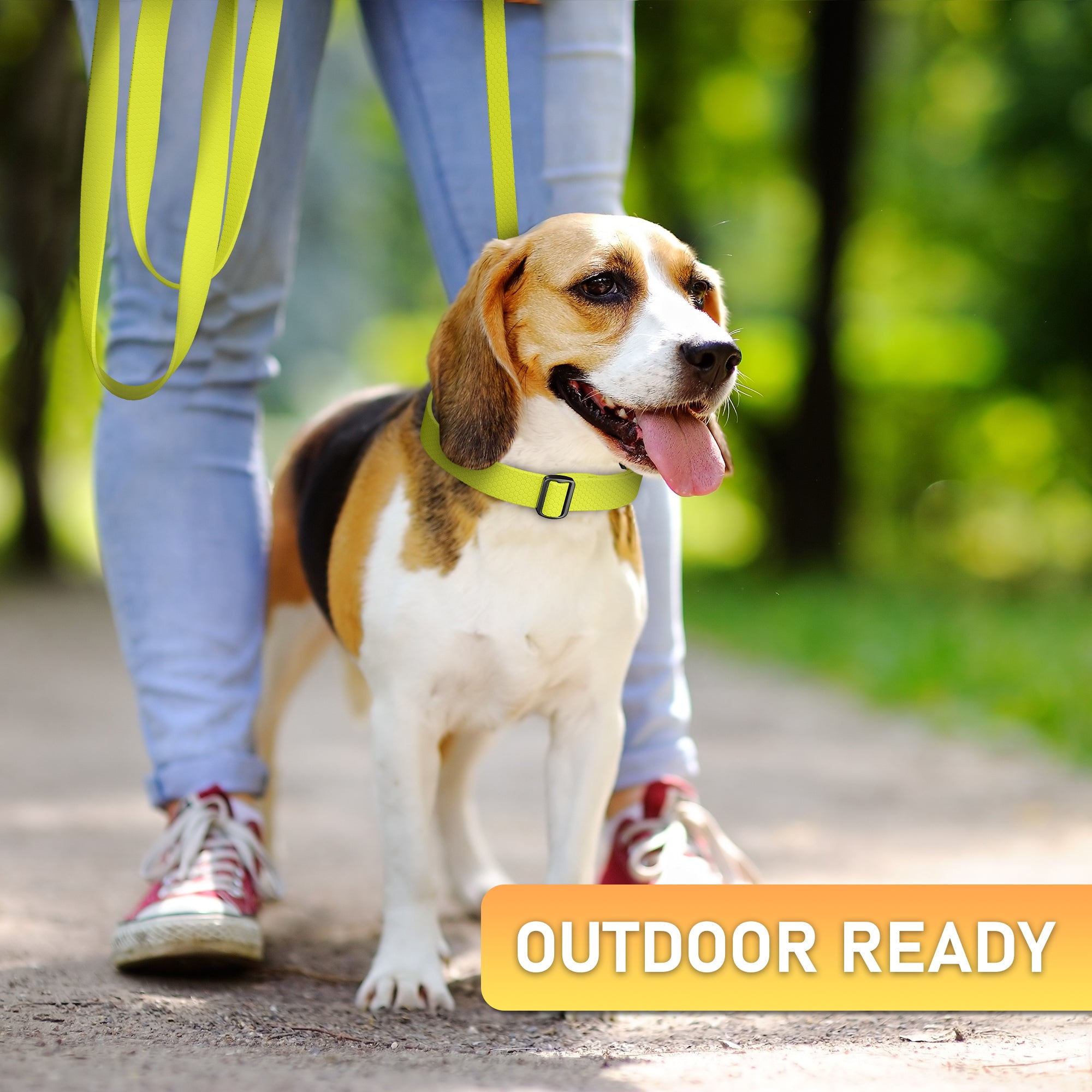 NexaPaw Waterproof Dog Leash