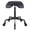 Black, variant on COSVALVE TPU Rolling Barber Swivel Stool Height Adjustable,Ultra-Quiet Wheel,Hydraulic Beauty Spa Salon Hair Stylist Chair(Silver)