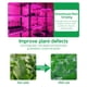 thumbnail image 5 of Tira de luz Irfora LED Grow Light Full Spectrum USB Grow Light Strip 2M 2835 SMD DC5V Cinta LED Phyto para plantas de semillas Flores Invernaderos Vegetales de interior Plántulas de flores Fitolampy Irfora Tira de luz, 5 of 7