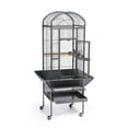 thumbnail image 6 of Prevue Pet Products Small Dome Top Bird Cage - Black 34511, 6 of 19