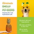 thumbnail image 4 of Naturel Promise Fresh & Soothing Odor Defense Tropical Breeze Dog Shampoo, 22oz Bottle, 4 of 8