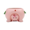 thumbnail image 2 of Succulent Planter Pot Animal Cactus Bonsai Flower Pots With Drainage Hole, 2 of 9