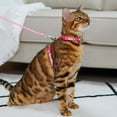 thumbnail image 6 of azuza Cat Harness and Leash Set for Safe Walking and Travel, Cat Harness Escape Proof Lightweight Size Adjustable Soft Material for Small Large Cats, Pink Plaid, 6 of 7