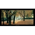 thumbnail image 2 of Pinsard, Laurent 32x18 White Modern Wood Framed Museum Art Print Titled - Automne au parc, 2 of 4