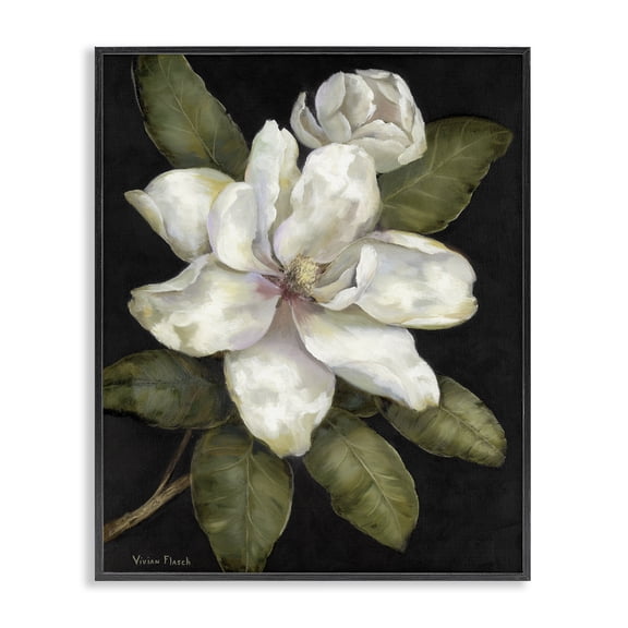 Stupell Industries Traditional Budding Magnolia Blooms Black Framed Giclee Art, 11 x 14, by Nan