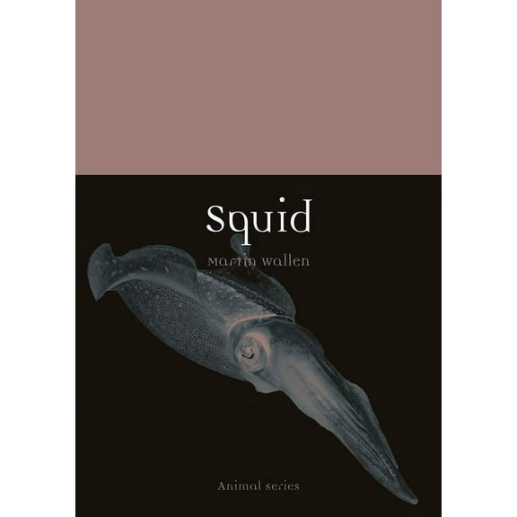 Animal: Squid (Paperback)